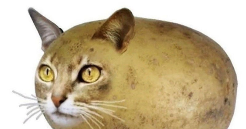 Гавкошмыг Бубылда