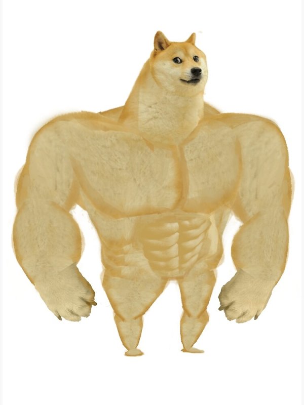 Накаченный доги