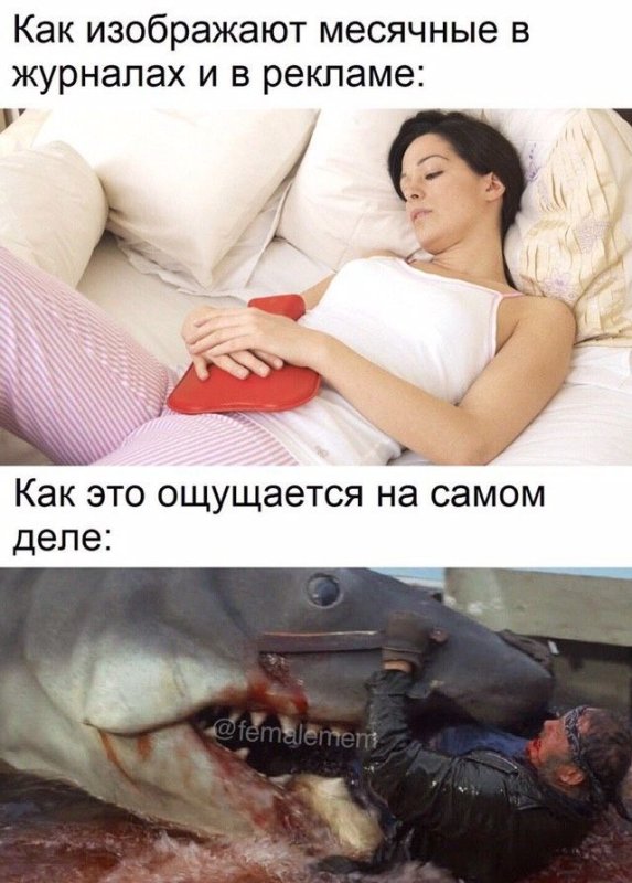 Смешные шутки про месячные
