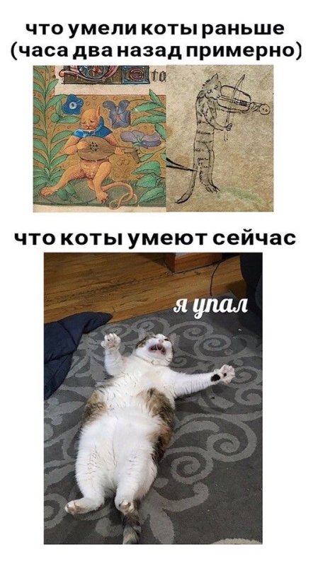 Что умели коты раньше