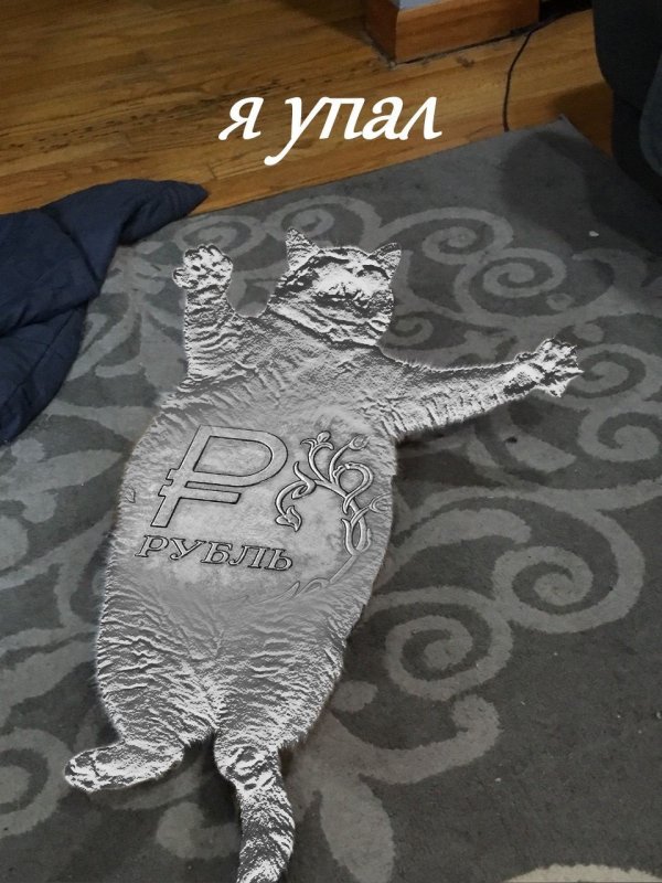 Котик упал Мем