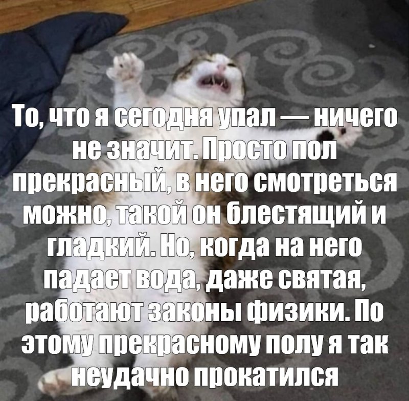 Кот я упал