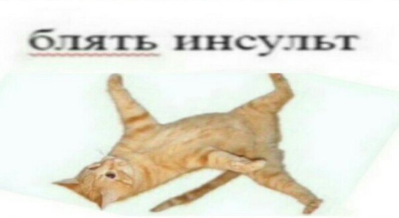 Я упал кот оригинал