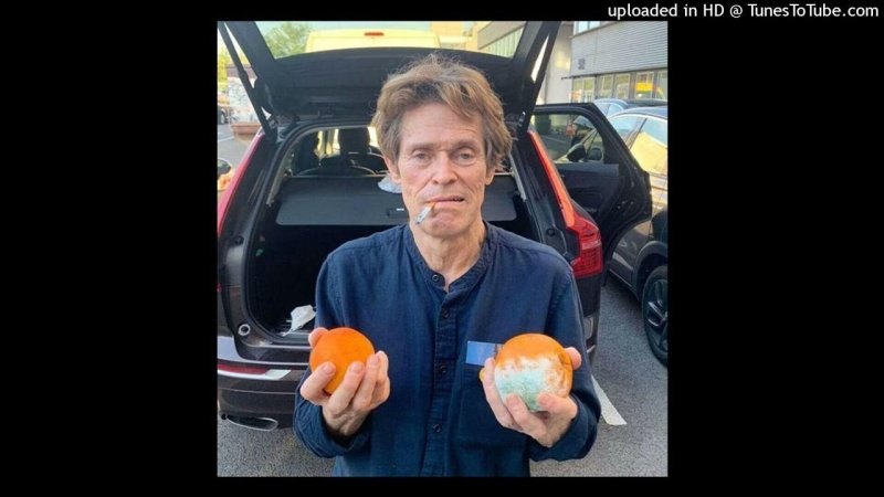 Уиллем Дефо с апельсинами