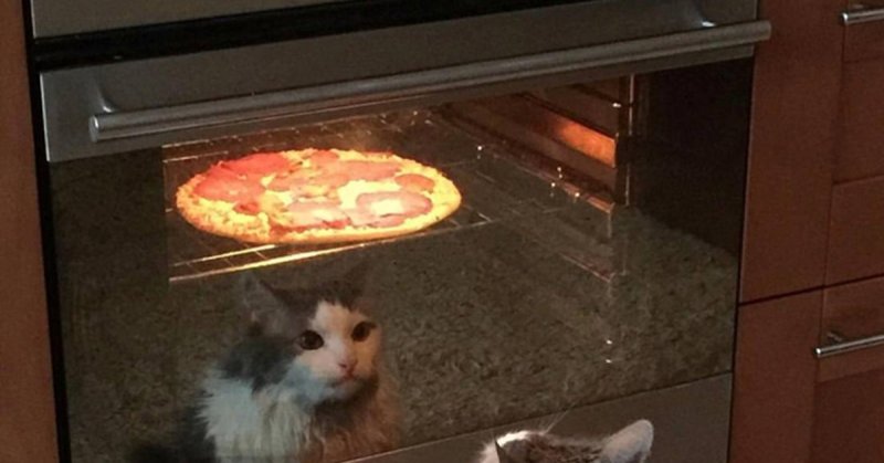 Кот в духовке Мем