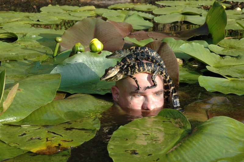 Человек болт