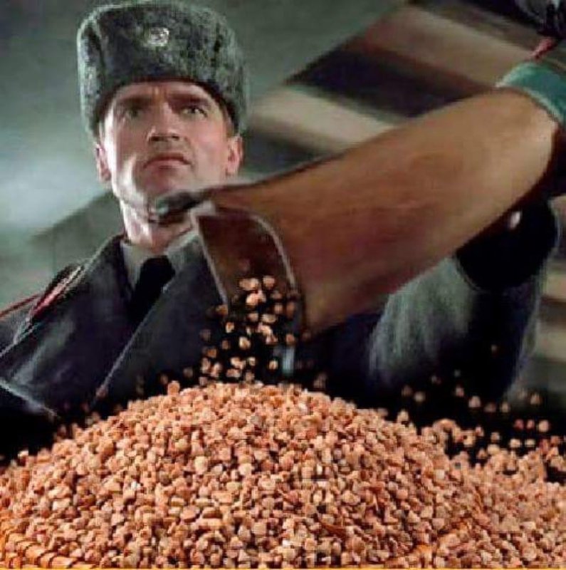 Смешная гречка