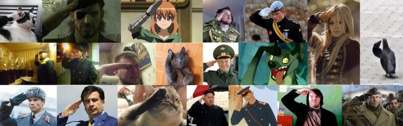 Отдает честь прикол