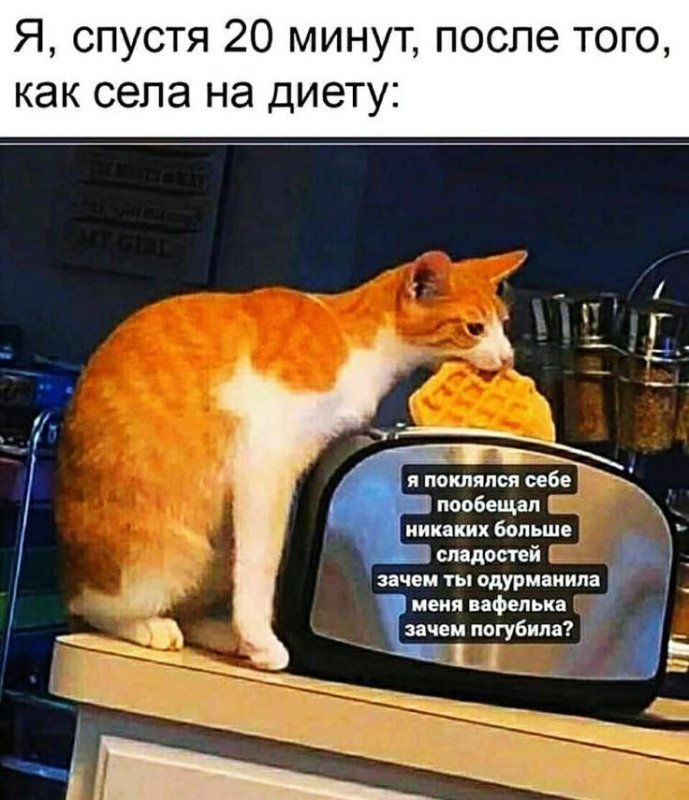Я села на диету