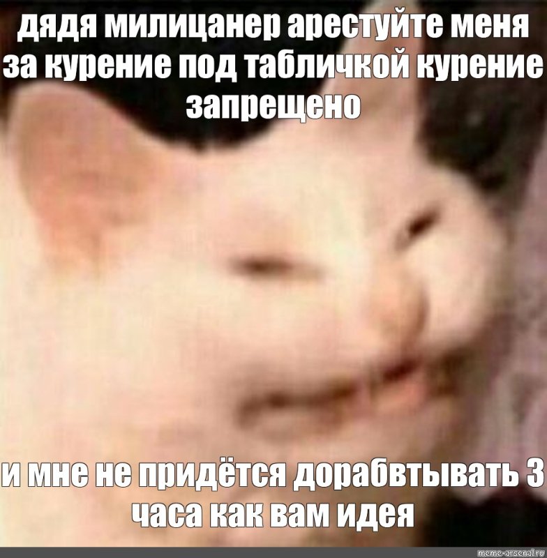 Я упал Мем с котом