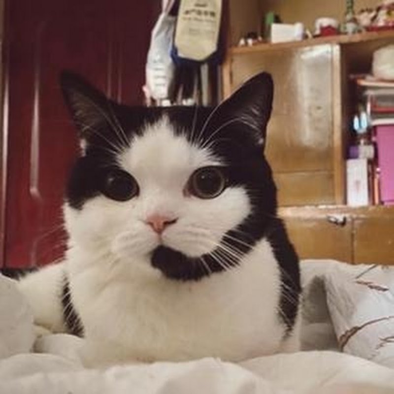 Мемные фото 2023