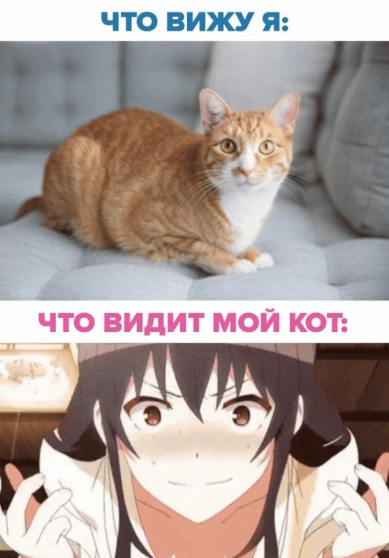 Аниме подпишись