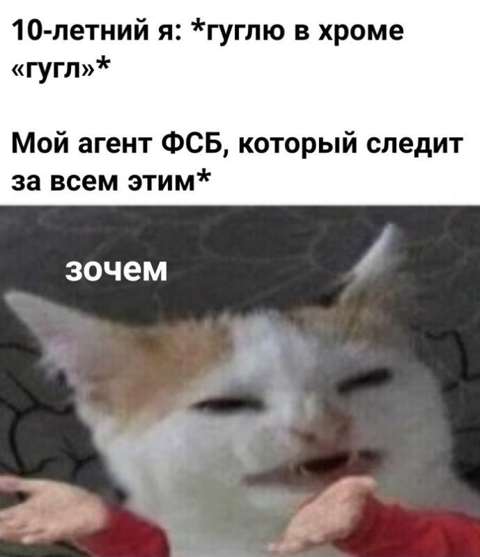 Мем больше страсти мать Вашу с котом