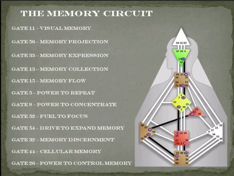 Ролевые ворота дизайн человека