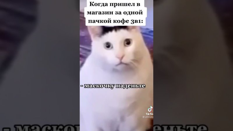 Осуждающе мяукающий кот Мем