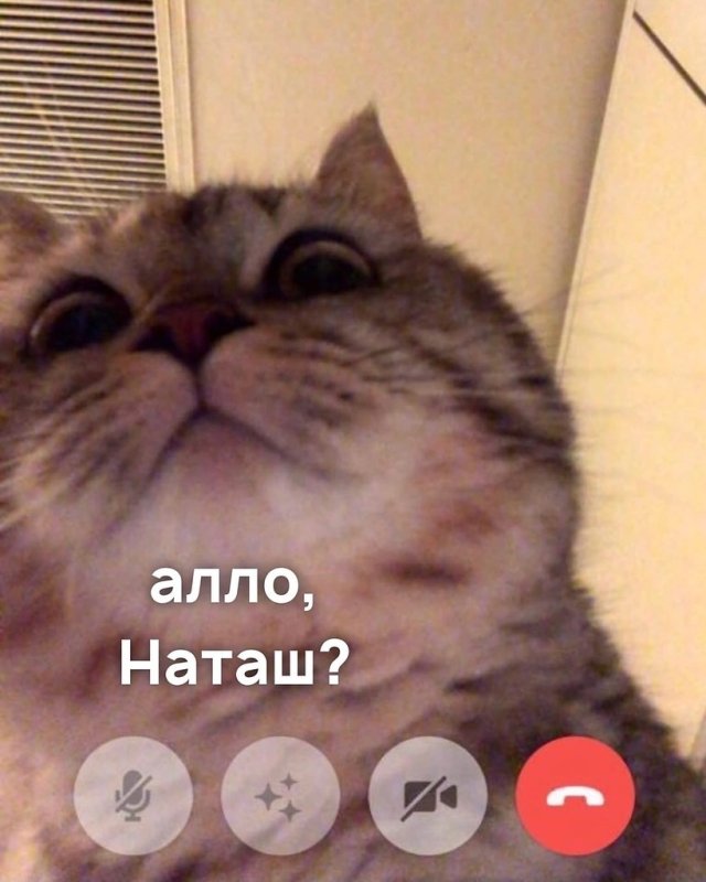 Алло Наташа