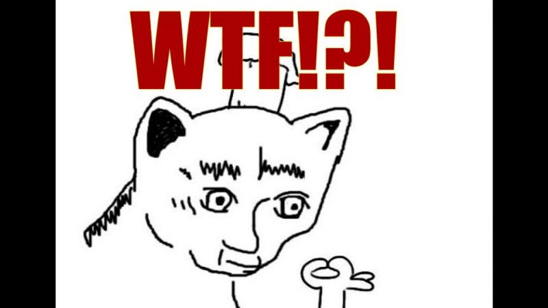 Кот повар Белиссимо