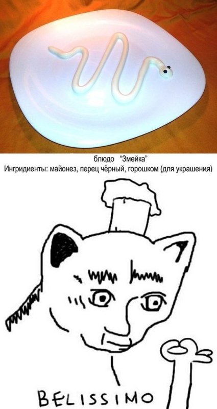 Белиссимо Мем кот