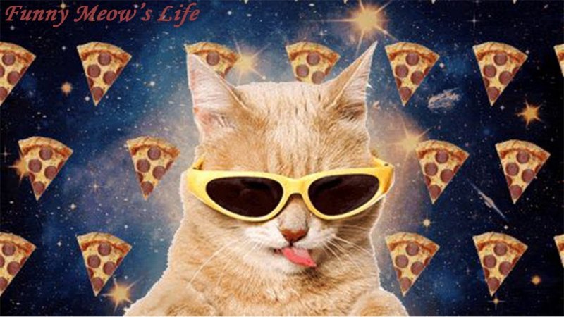 Фон для беседы