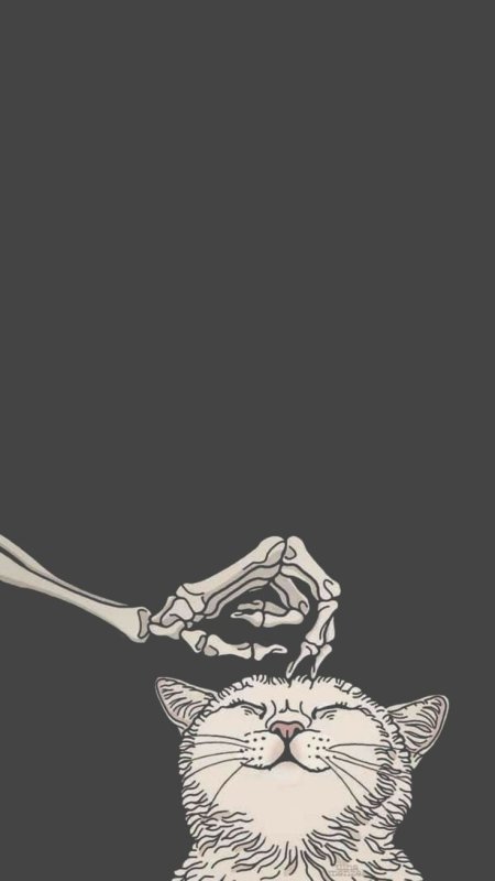 Смешные заставки на экран блокировки