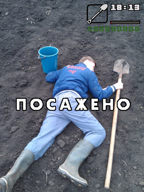 Копаю картошку смешные
