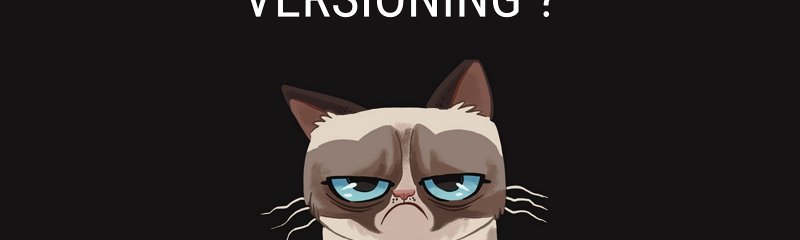 Обои на рабочий стол сердитый кот в наушниках