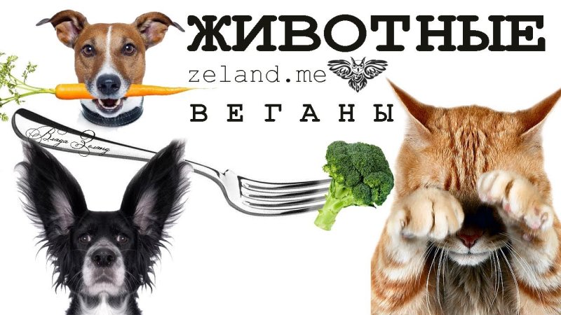 Животные веганы