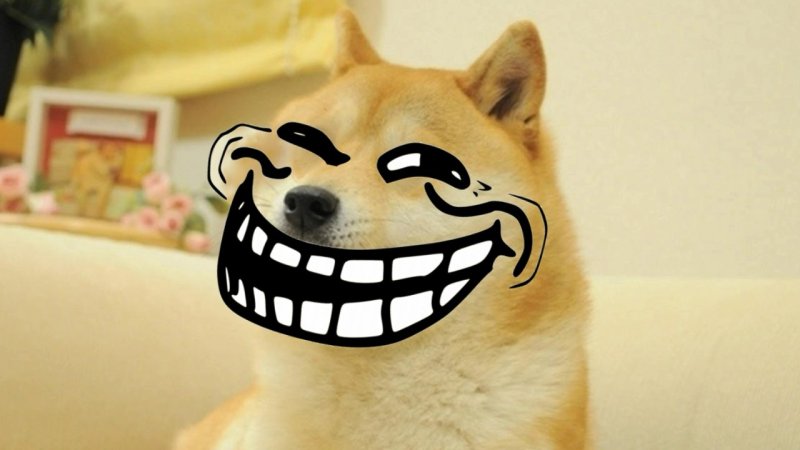 Собака из мемов