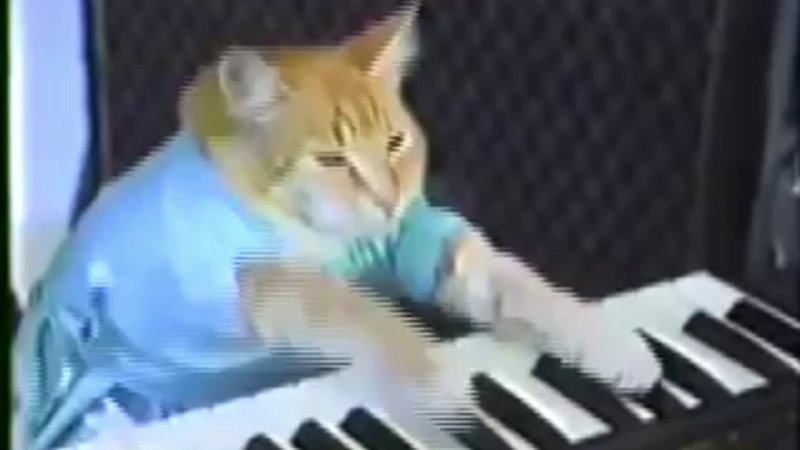 Keyboard Cat 1984