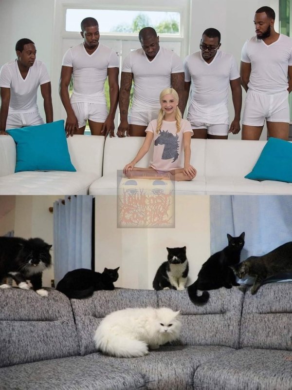 Пайпер Перри и 5