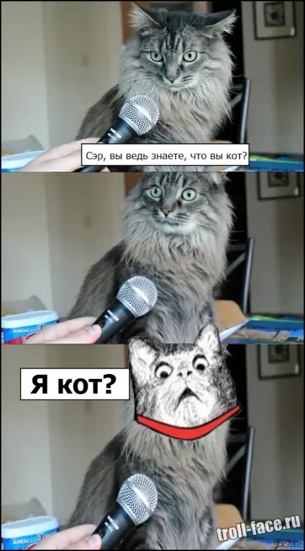 Кот с микрофоном Мем