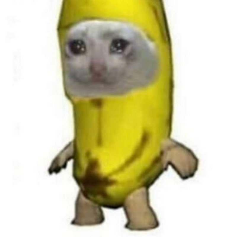 Котик в костюме банана арт
