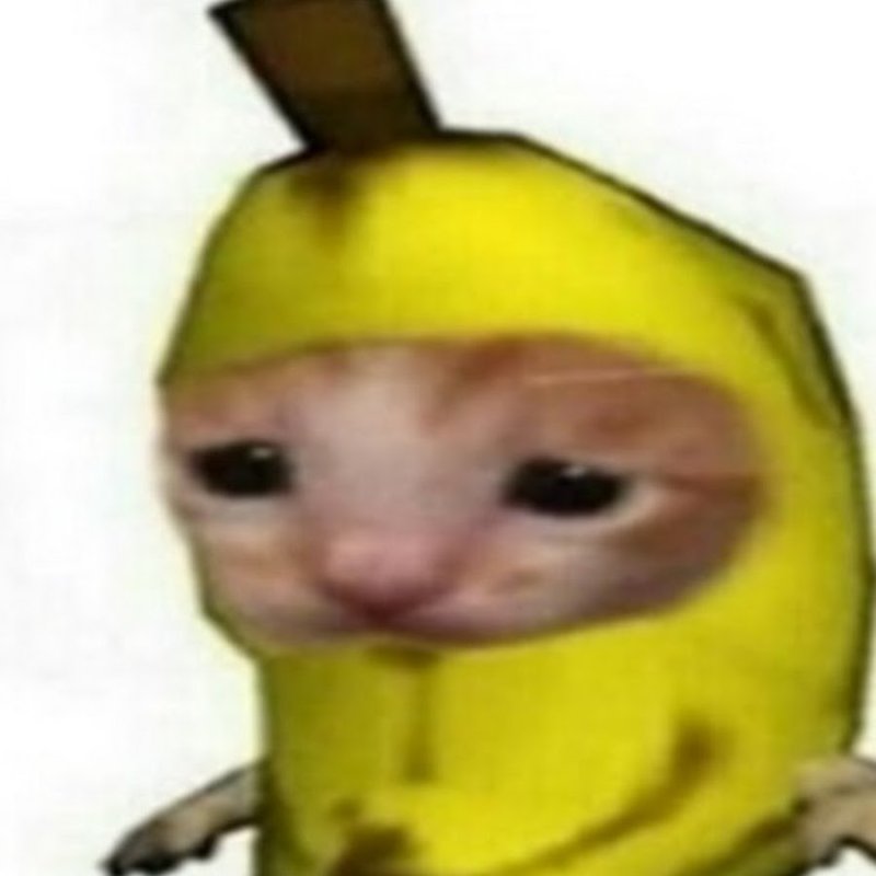 Кот в костюме банана