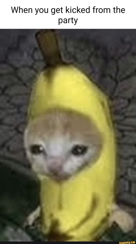 Котик в костюме банана