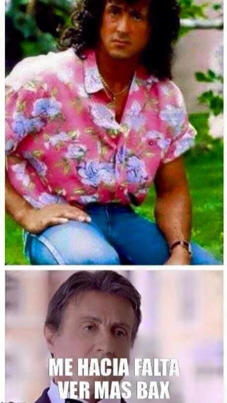 Сильвестр Сталлоне прикол