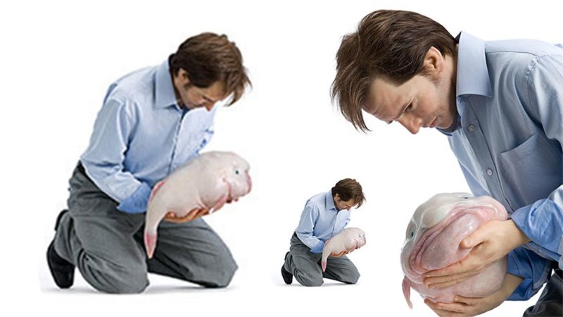 Межик и рыба капля