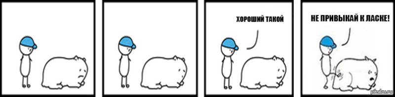 Мем пинает свинью