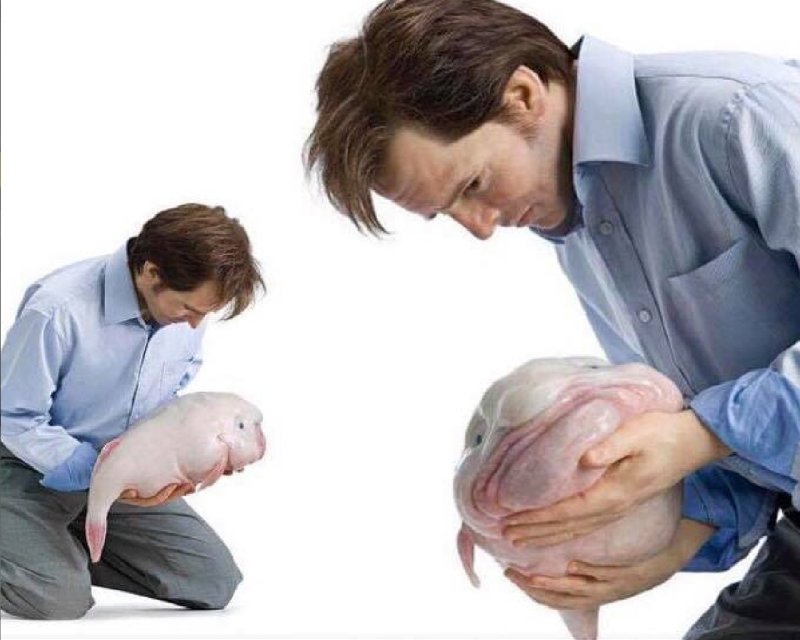 Когда попросили подержать ребенка