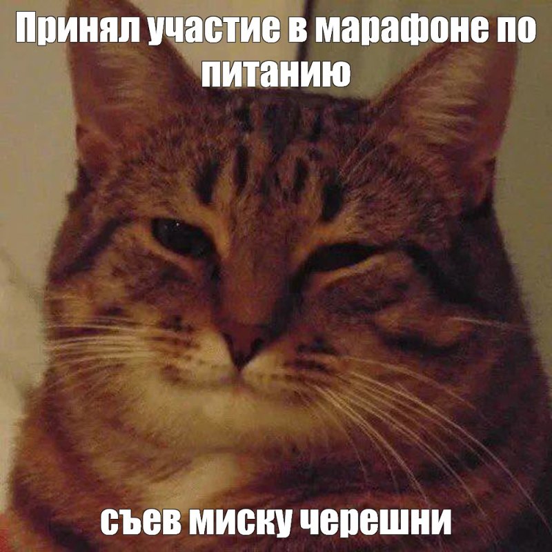 Кот из мема с улыбкой