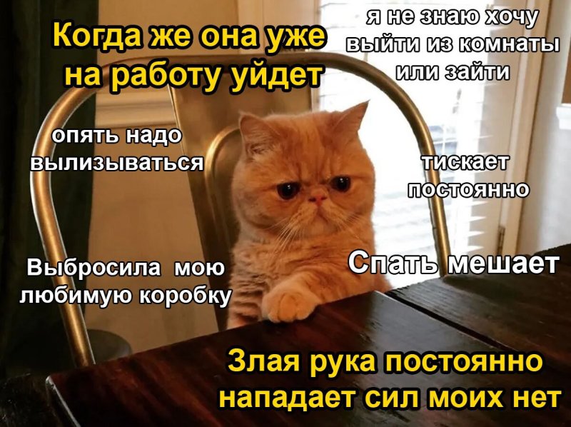 Злая рука для кота