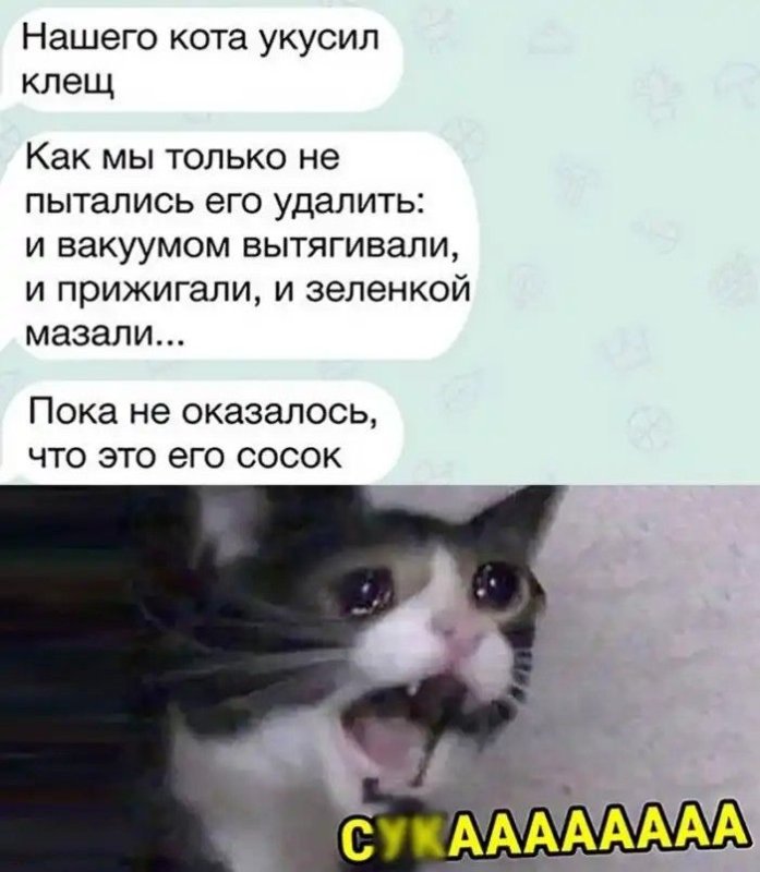 Толстый Плачущий кот
