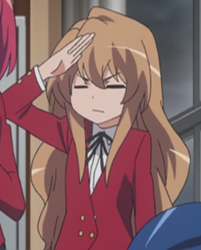 ТОРАДОРА Мем