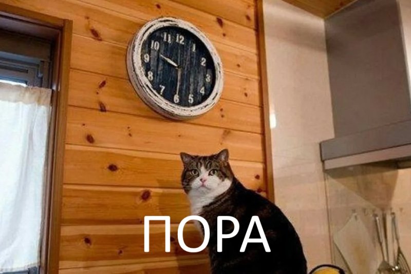Мем с котом и часами