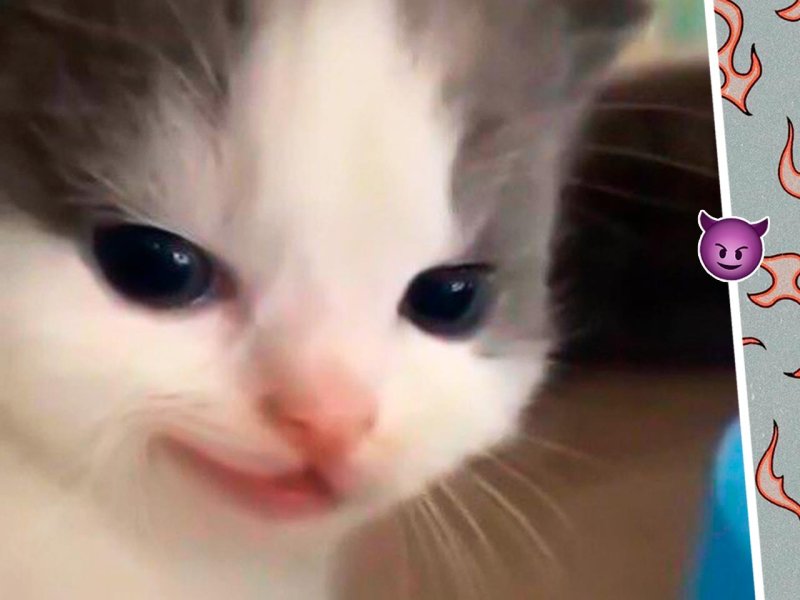 Хе Хе Мем кот