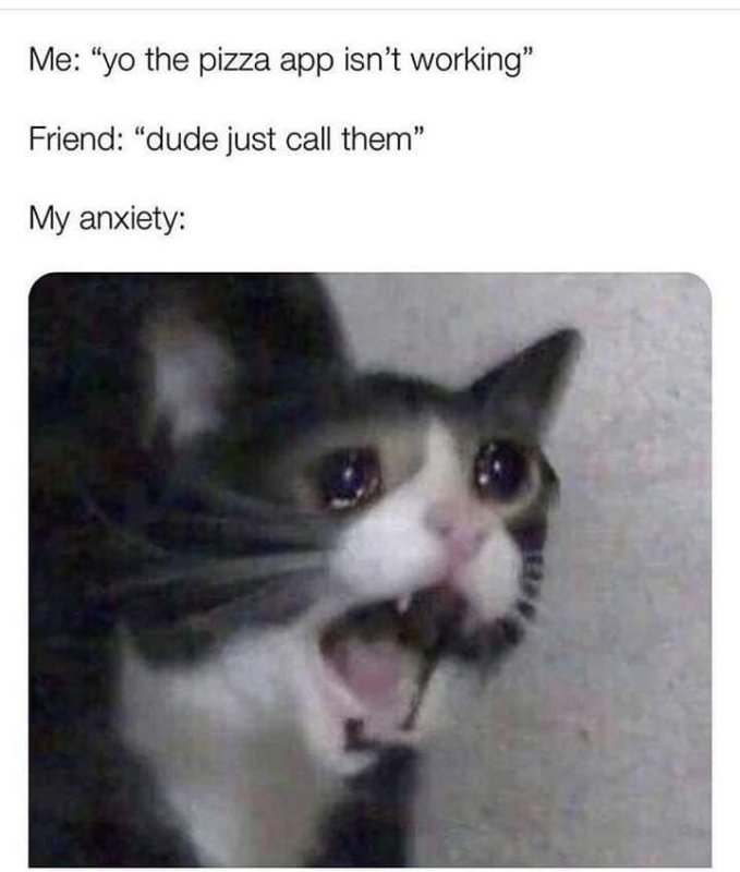 Плачущий кот кричит