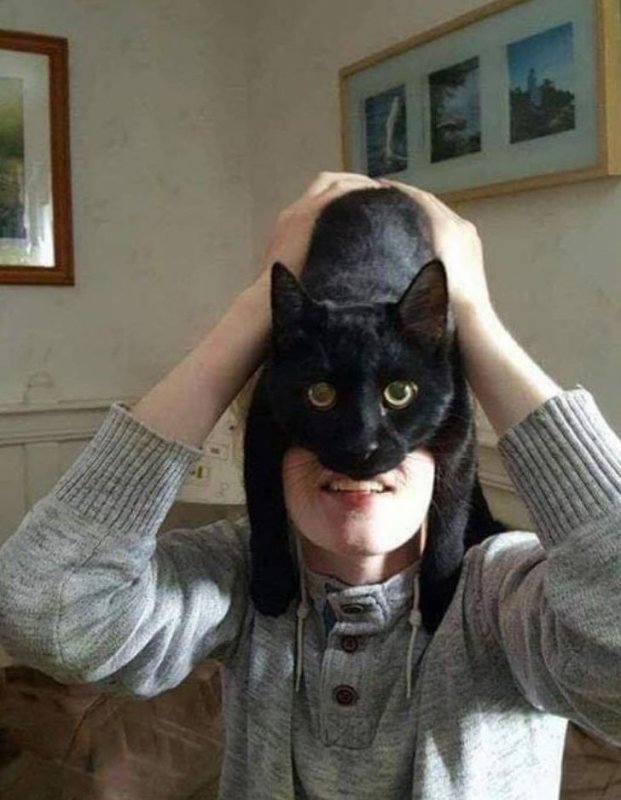 Картинка КЭТМЕН