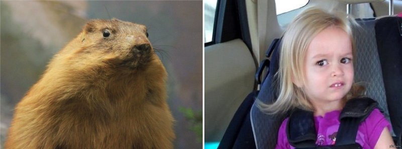 Удивление девушка