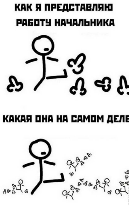 Пиняю Зуи рисунок