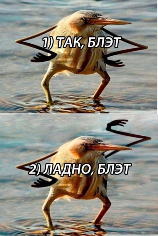 Так блэт Мем