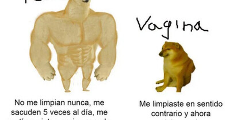 Накаченная собака Мем